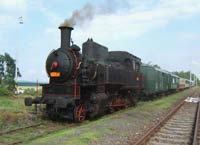 423.009 opět v Bezdružicích - v místní výtopně byla tato lokomotiva nalezena po skončení II. světové války.(mk)