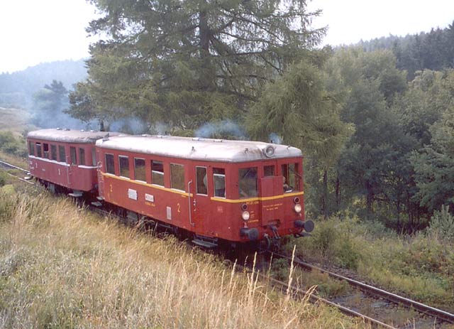 Motorový vůz M 131.1386 stoupá romantickým úsekem
v údolí Kozolupského potoka do Cebivi.