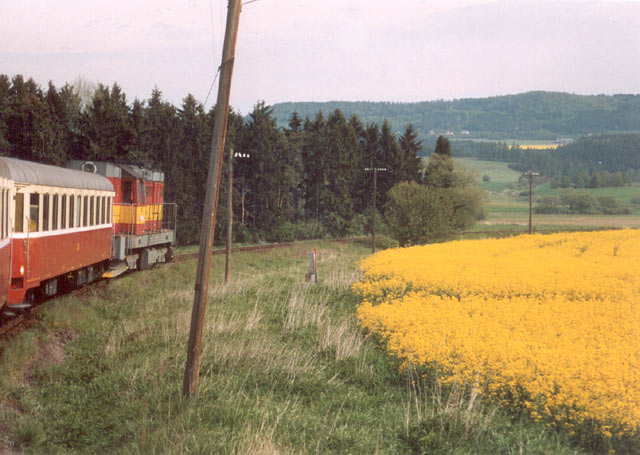 Výletní vlak Plzeňské dráhy míří kolem rozkvetlého řepkového pole k zastávce Strahov.