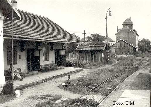 Vzácný snímek stanice Trpísty, v pozadí budova obilného skladiště bývalého německého hospodářského družstva nedlouho před zbořením.
