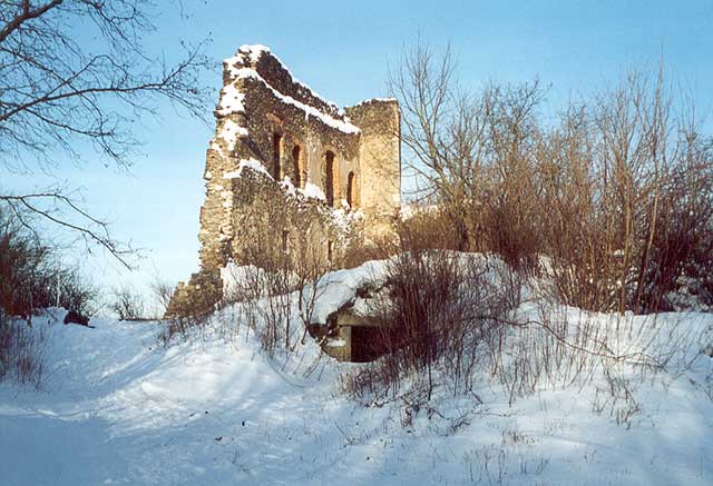 Ruin of the castle Švamberk in winter.